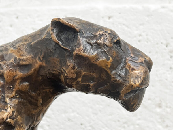 Lioness Bust JB20 - Image 4
